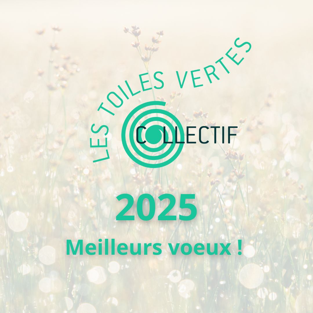 Meilleurs Voeux 2025